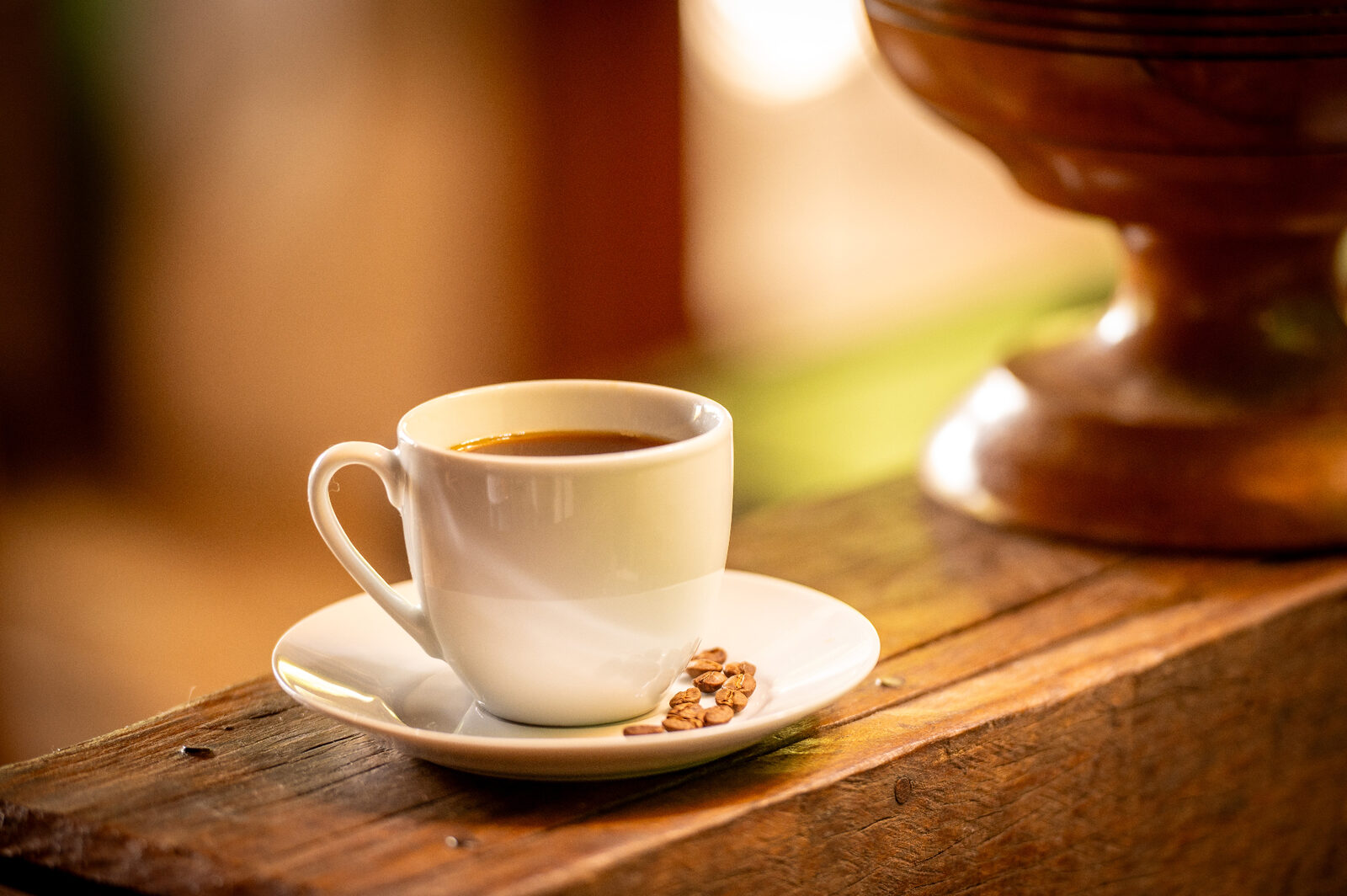 Mãos colhendo café
